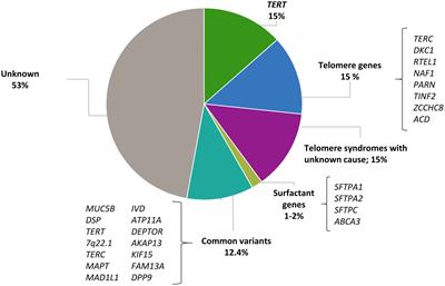 Idiopathic pulmonary fibrosis and the role of genetics in the era of precision medicine